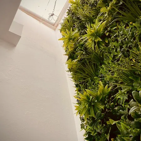 Casa Mama Carina A